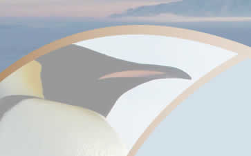 penguin1